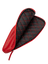 LABS Red Paddle Collectors Case - The Locker Room